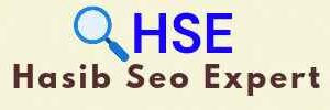 Hasib SEO expert